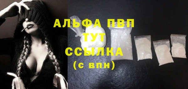 крисы Новодвинск