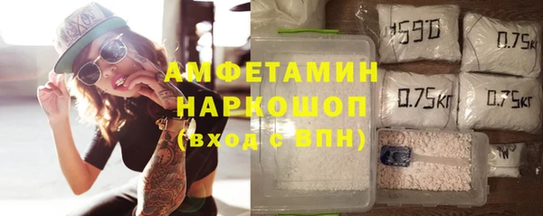 крисы Новодвинск