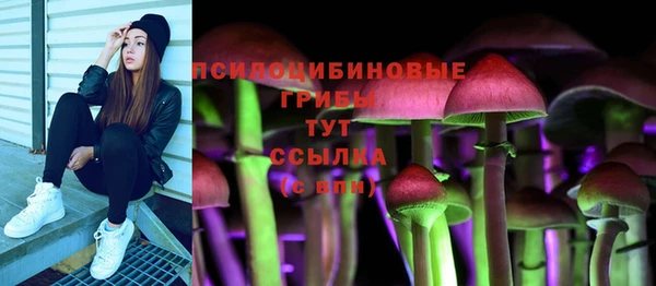 крисы Новодвинск