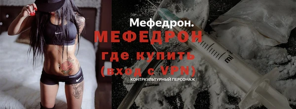 твердый Новозыбков