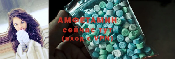 твердый Новозыбков