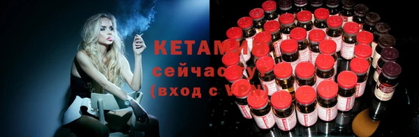 твердый Новозыбков