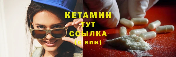 крисы Новодвинск
