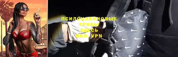 ГАЛЛЮЦИНОГЕННЫЕ ГРИБЫ Новокубанск