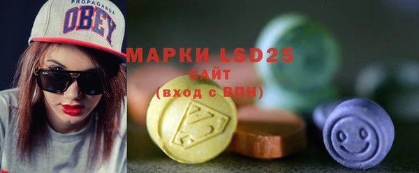 твердый Новозыбков