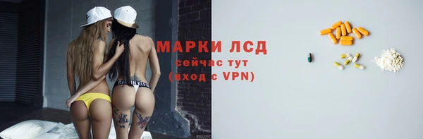 твердый Новозыбков