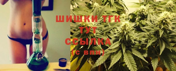 твердый Новозыбков