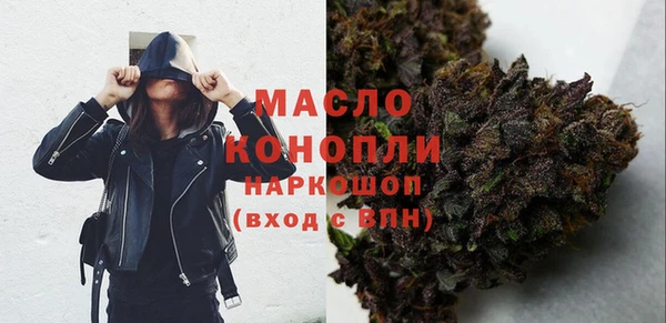 твердый Новозыбков