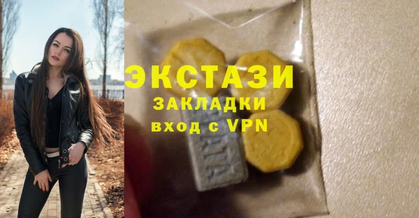 крисы Новодвинск