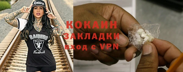 твердый Новозыбков